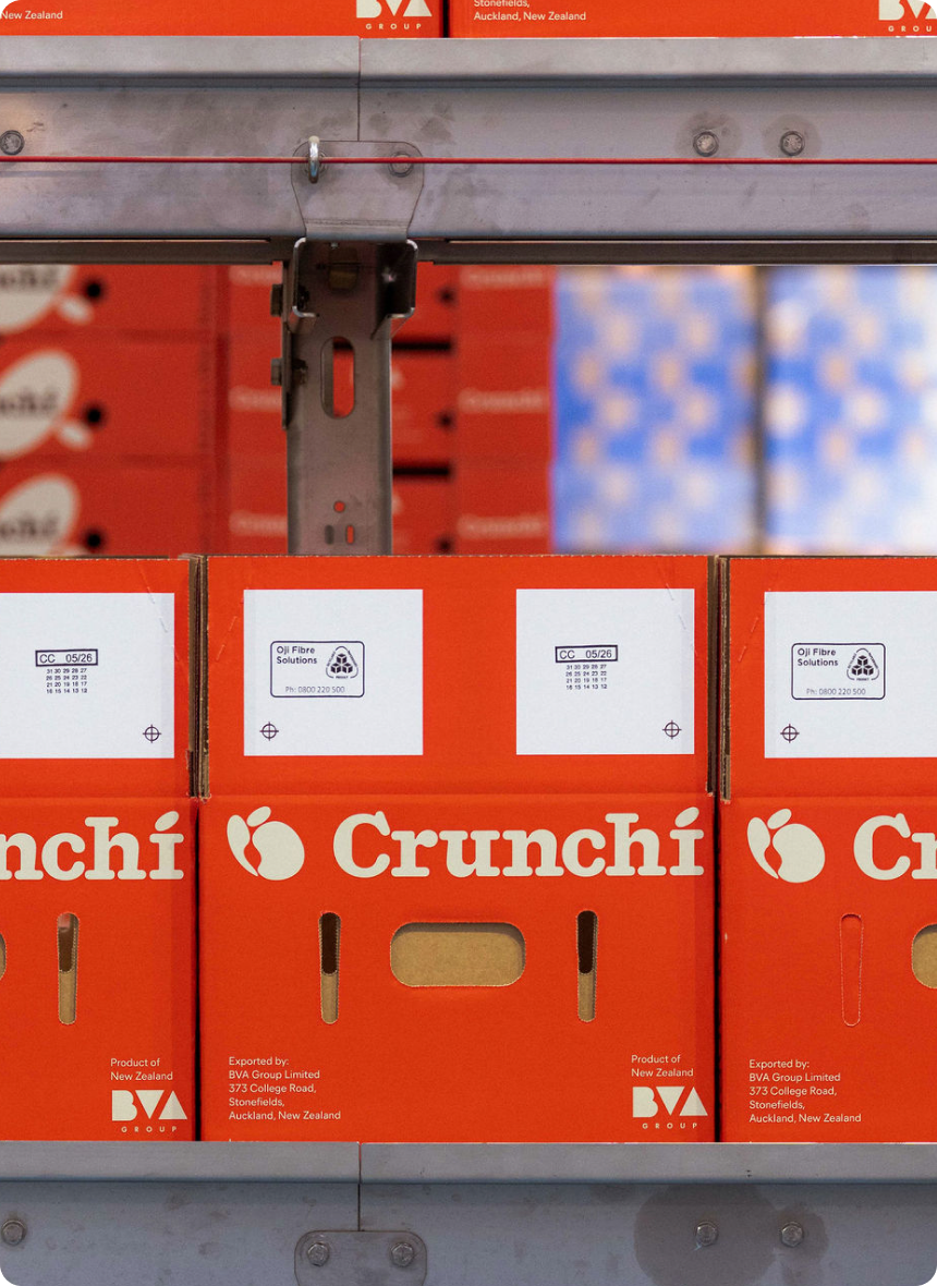 Crunchi orchard
